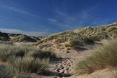 Foveran dunes