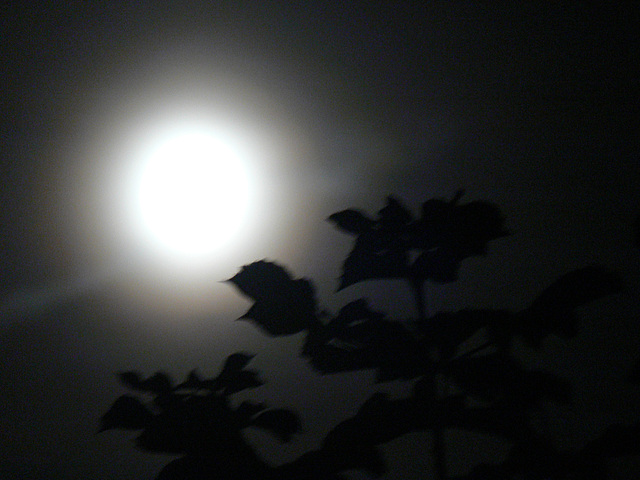 Mondnacht 2009 5./6.