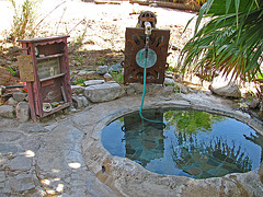 Pool at Warm Springs (0164)