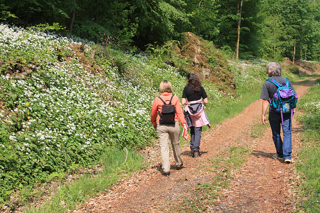 auf einem Wanderweg unterhalb der Selterklippen im Leinebergland