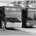 Bus suédois / Swedish buses - Helsingborg / Suède - Sweden.  22 octobre 2008- N & B