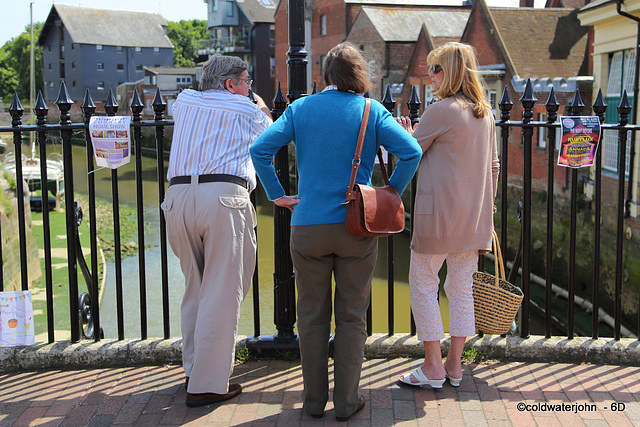 Lewes' Visitors on a sunny summer afternoon