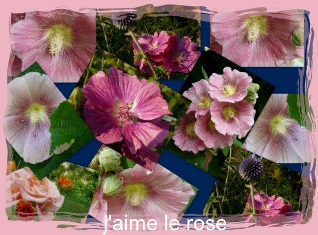 le rose me va bien le rose me va bien