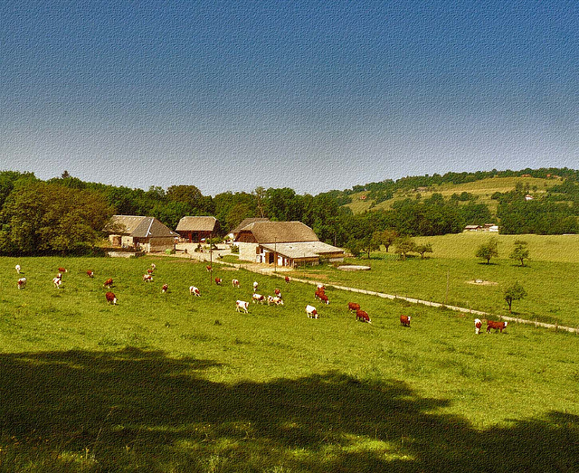 douce france ( bord de route 3 ) douce france ( bord de route 3 )