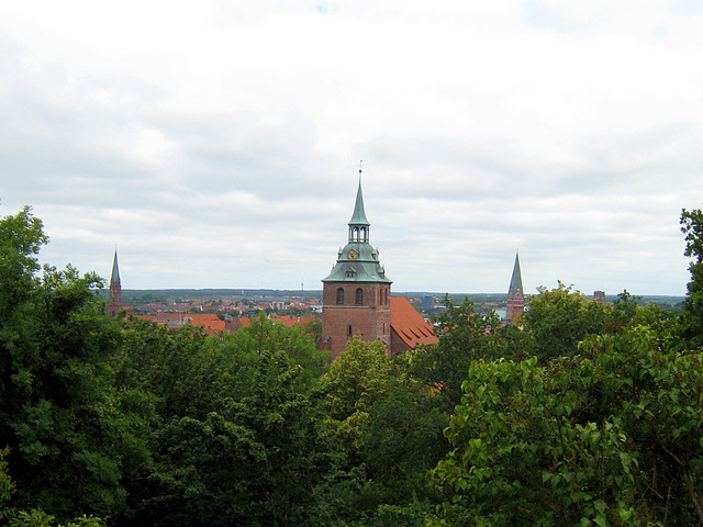 Lüneburg vom Kalkberg