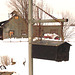 Twin maples farm - St-Benoit-du-lac-  Québec- Canada - 7 février 2009