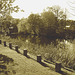 Charmante petite clôture sur la rivière /  Little fence by the river - Ängelholm / Suède - Sweden.  23 octobre 2008-  Sepia