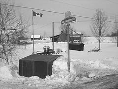 Twin maples farm - St-Benoit-du-lac-  Québec- Canada - 7 février 2009-  B & W