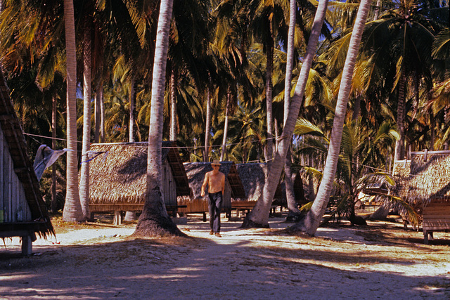 Simple huts from the Aloha Resort