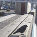 Oiseau suédois sympatique - Friendly swedish bird -  Båstad.  Suède / Sweden.   Octobre 2008 - Ombre sur pattes / Flying shadow