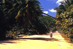 Road on Koh Samui