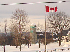 Twin maples farm - St-Benoit-du-lac-  Québec- Canada - 7 février 2009