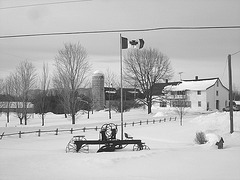 Twin maples farm - St-Benoit-du-lac-  Québec- Canada - 7 février 2009- B & W