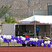 Relay For Life (0024)