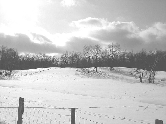 Paysages d'hiver à proximité de l'abbaye de St-Benoit-du-lac au Québec .  7 Février 2009-  B & W