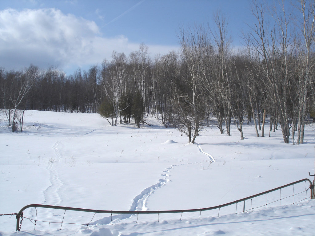 Paysages d'hiver à proximité de l'abbaye de St-Benoit-du-lac au Québec .  7 Février 2009