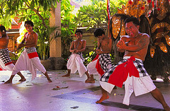 Kris dancers at the Barong performance