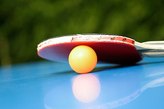 ping pong paradise