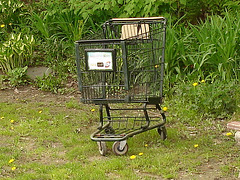Panier roulant solitaire /  Lonely wheeling basket