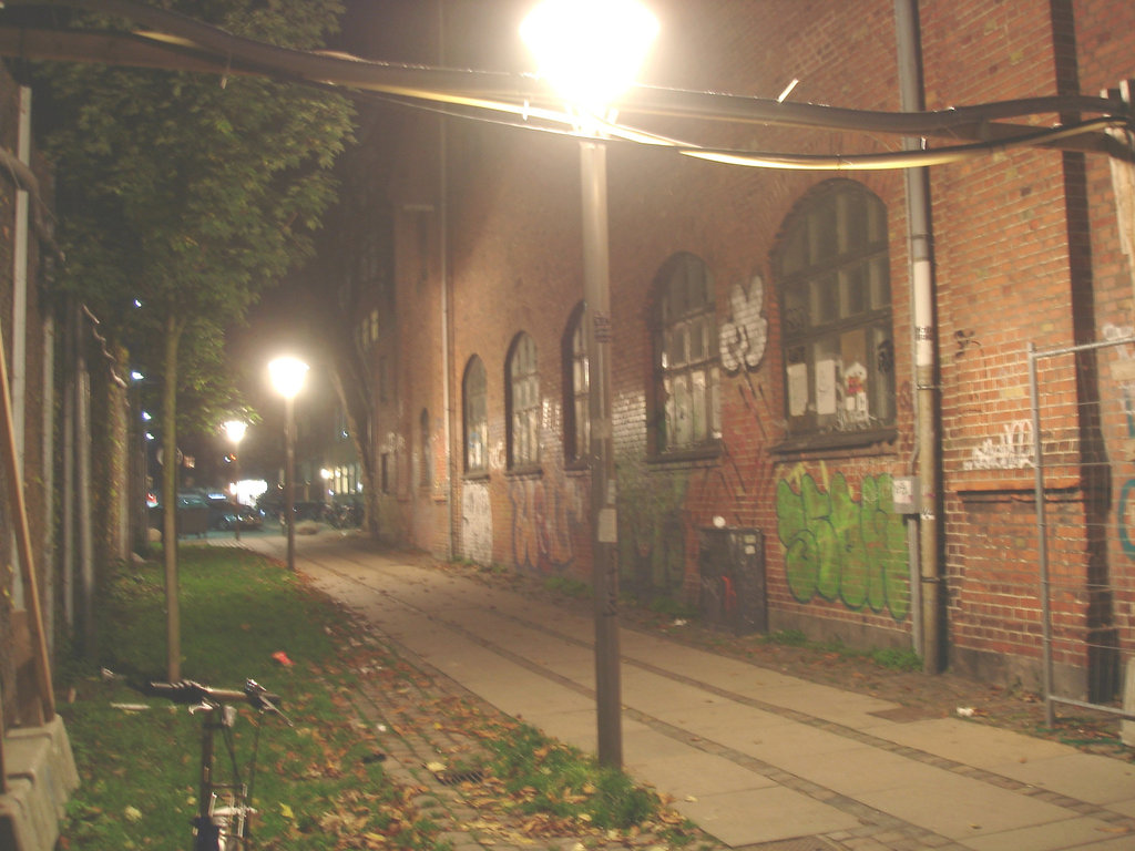 Lampadaires et graffitis / Street lamps & wall graffitis.   Copenhague. Danemark - 26-10-2008