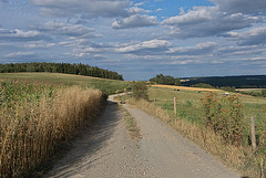 Feldweg