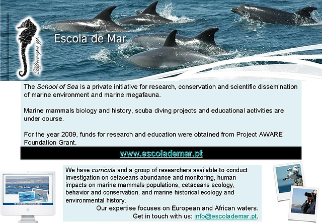 Divulging the School of Sea / Escola de Mar