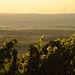 View from Schwanberg vineyards to Dettelbach