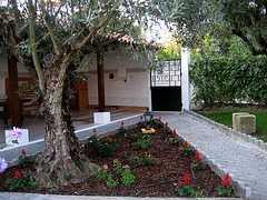 A-dos-Ruivos, country house, garden (5)