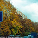 Fall Colors, Picture 8, Edited Version, Haje, Prague, CZ, 2013