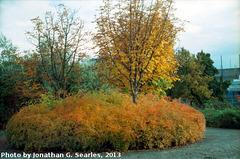 Fall Colors, Picture 11, Edited Version, Haje, Prague, CZ, 2013
