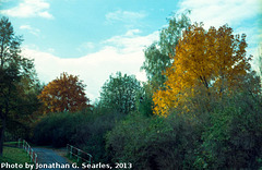 Fall Colors, Picture 16, Edited Version, Haje, Prague, CZ, 2013