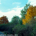 Fall Colors, Picture 16, Edited Version, Haje, Prague, CZ, 2013
