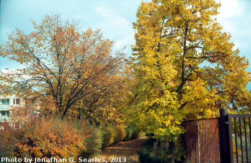 Fall Colors, Picture 19, Edited Version, Haje, Prague, CZ, 2013