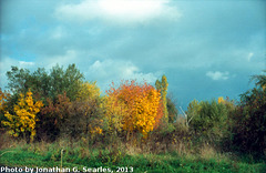 Fall Colors, Picture 25, Edited Version, Haje, Prague, CZ, 2013