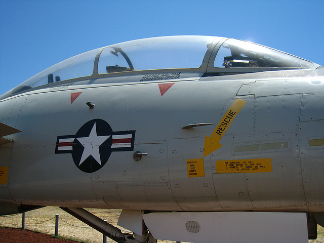 Grumman F-14 Tomcat (3168)