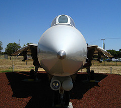 Grumman F-14 Tomcat (3170)