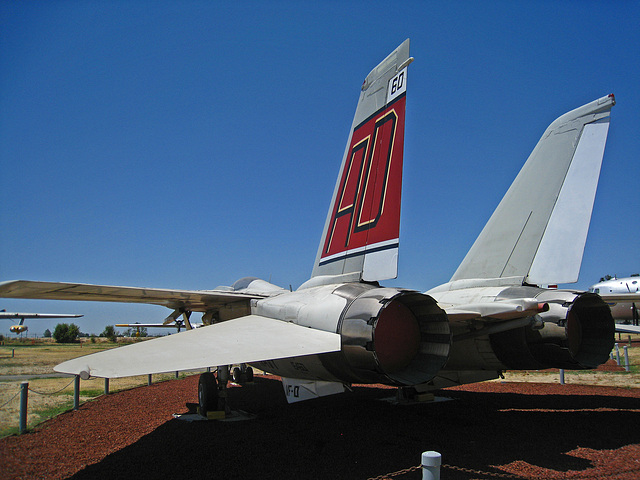 Grumman F-14 Tomcat (3171)