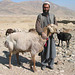 Un Berger en Afghanistan