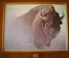 Chief - American Bison by Robert Bateman in Mammoth Hot Springs Hotel (4267)