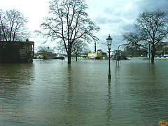2006-04-05 062 Hochwasser