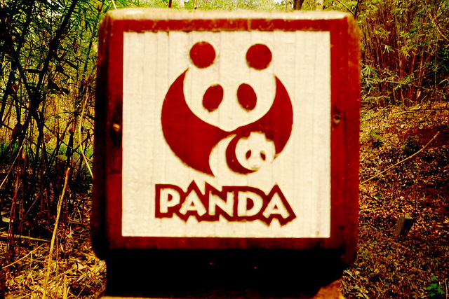 Panda park logo