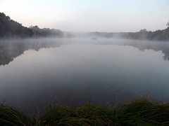 brume sur l'étang