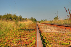 Railroad line near Kitzingen