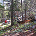 On The Trail to May Lake - Another Illegal Camp (0745)