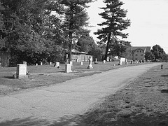 Cimetière St-Charles / St-Charles cemetery -  Dover , New Hampshire ( NH) . USA.   24 mai 2009   -  Janelle & friends.. N & B