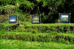 Arnes - Tuvalus Ausstellung in meinem Garten - 2.8.2009