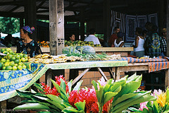 Un marché Hmong