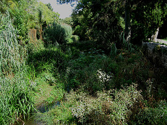 Oeiras, Municipal Garden, Ribeira da Laje - small river (1)