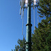 Signal Mtn. Tower (3656)