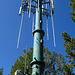 Signal Mtn. Tower (3657)